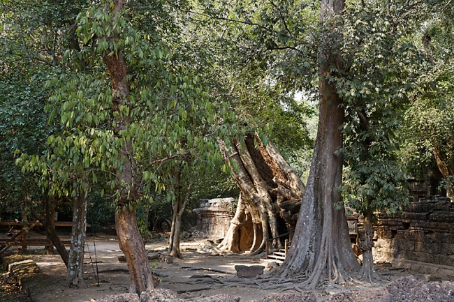 Ta Phrom et environs-033